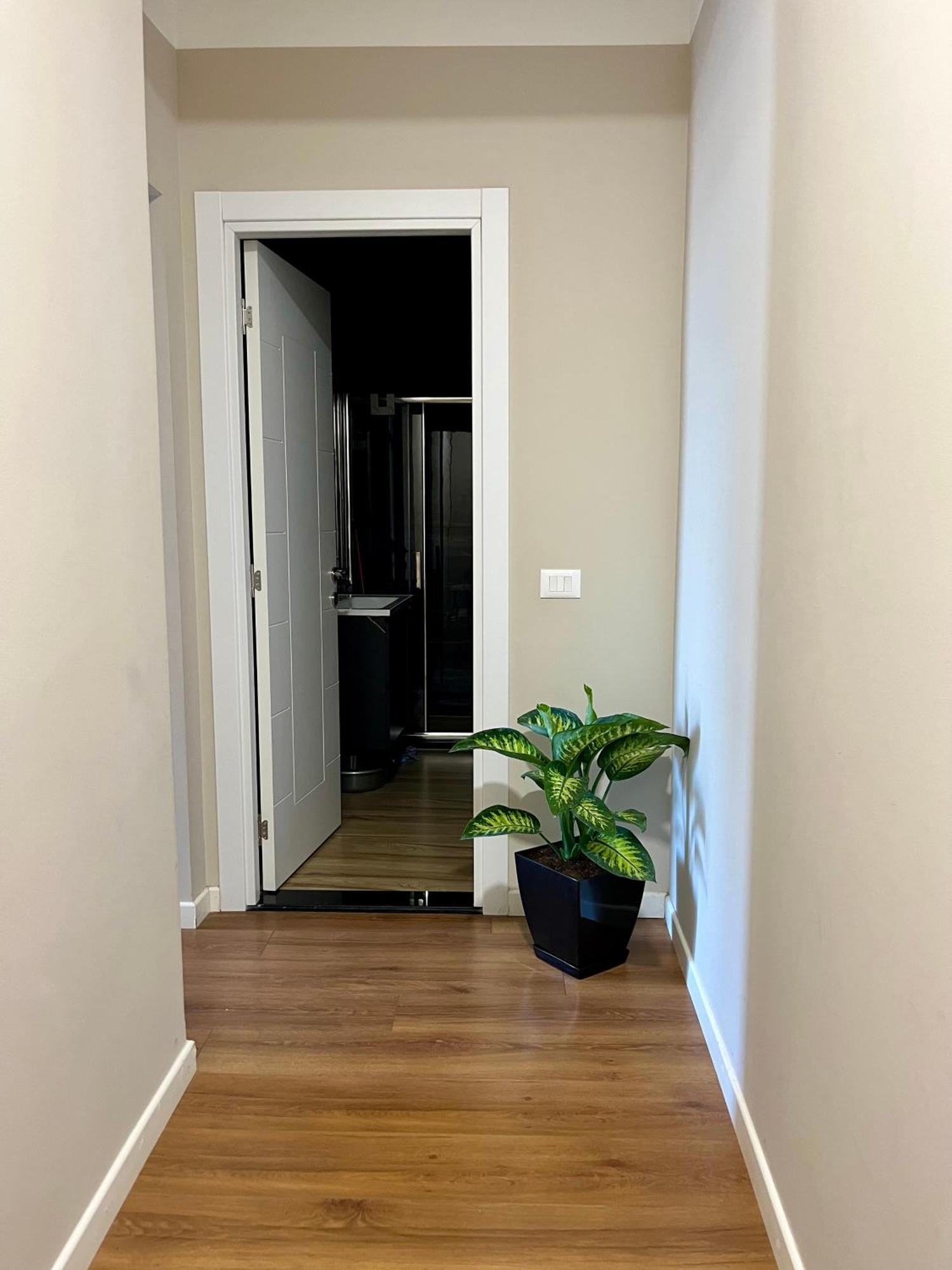 City Center Cozy Apartment تيرانا المظهر الخارجي الصورة